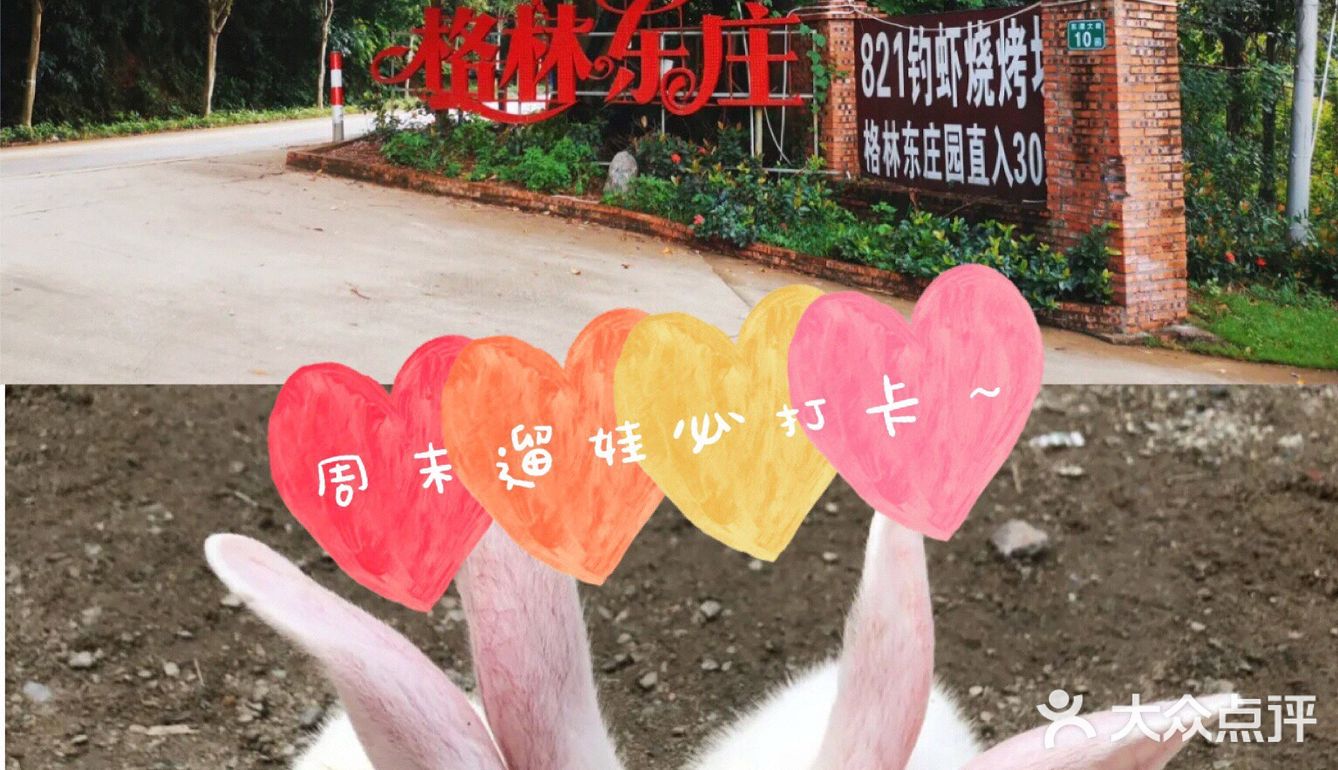 周末遛娃宝藏地||打卡格林东庄 这里户外的场地很大