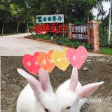 周末遛娃宝藏地||打卡格林东庄 这里户外的场地很大