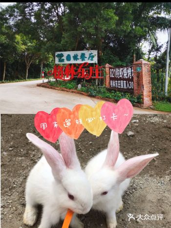 周末遛娃宝藏地||打卡格林东庄 这里户外的场地很大