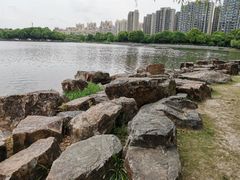 -南翔镇银翔湖公园
