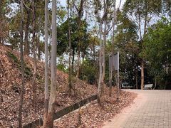 -滴水岩森林公园