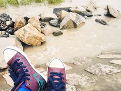 -南汇嘴观海公园