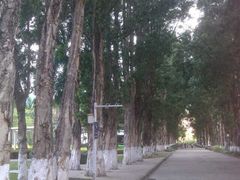 -广东外语外贸大学(白云山校区)