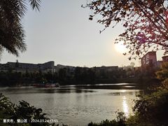 -枫香湖儿童公园