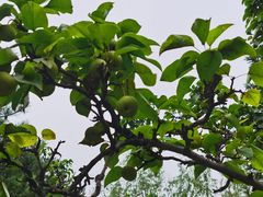 -中关村生命科学园