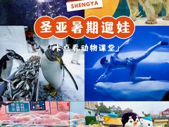 -大连圣亚海洋世界