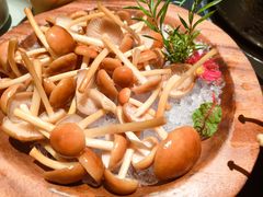 -季季山·云南野生菌火锅(上海首店)