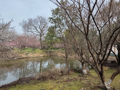 -采石矶景区