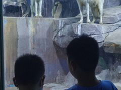 -多彩贵州城极地海洋世界