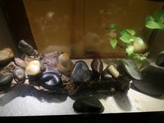 -三峡古玩城(泰古广场店)