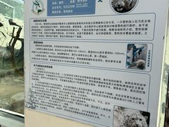 -青藏高原野生动物园
