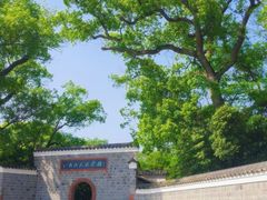 -八大山人梅湖景区