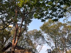 -灵隐飞来峰景区