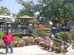 -蘇河湾·新鲁菜·泰山宴(泰山店)