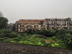 -三水森林公园