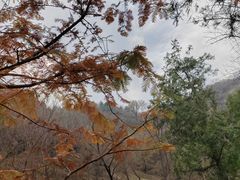 -白水寺森林公园