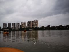 -美的鹭湖森林度假区