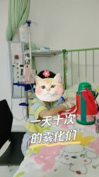 -天津市儿童医院(北辰龙岩院区)