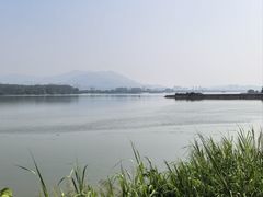-福建鲤鱼洲酒店