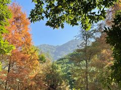 -马峦山郊野公园