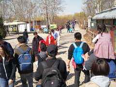 -北京麋鹿生态实验中心