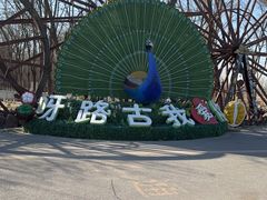 -呀路古热带植物园