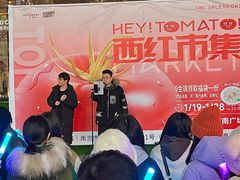 -金茂览秀城