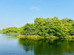 -济州森林小火车生态公园