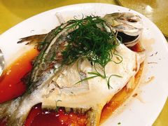 清蒸海鱼-双月饭店·20年老字号(新村店)