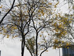 -中国移动南方基地