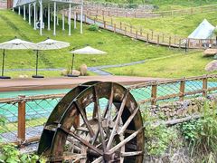 -江西阳明山国家森林公园