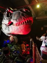 -恐龙探索乐园(磁器口店)