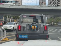 -武汉大学附属爱尔眼科医院(湖北总院)