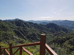-大岭沟猕猴桃谷风景区