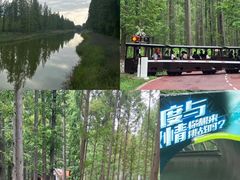 -黄海国家森林公园