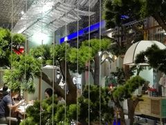 -松沪名灶·豆浆鱼头·新上海菜(飞航吾悦广场店)
