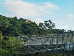 -福道
