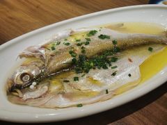 清蒸白水鱼-锡和无锡菜(景丽苑店)