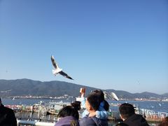 -滇池海埂公园