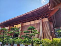 -深圳仙湖植物园