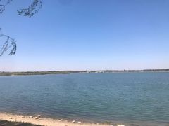 -丁香湖公园