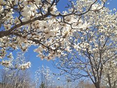 -山东大学(兴隆山校区)