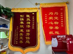 -安琪娜动物医院•健康管理•骨科•急重症诊疗中心