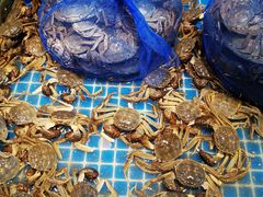 -半岛听涛蒸汽海鲜自助(K11店)