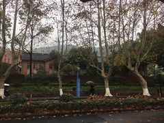 -浙江大学(玉泉校区)