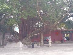 -闽粤南澳总镇府