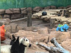-秦皇岛野生动物园