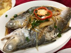 -蛇口康乐快餐鱼仔档(翠苑小区店)