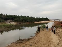 -日照海滨国家森林公园