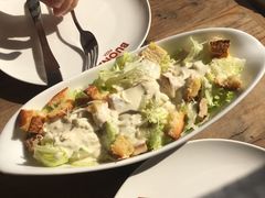 凯撒沙拉-百好乐宠物友好餐厅(朝外大街店)